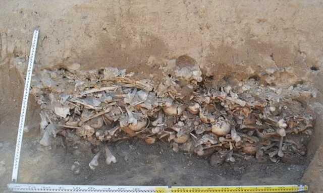 Polonya'd yol çalışması sırasında 450 'Vampir' iskeleti ortaya çıkarıldı Polonya'd yol çalışması sırasında 450 'Vampir' iskeleti ortaya çıkarıldı