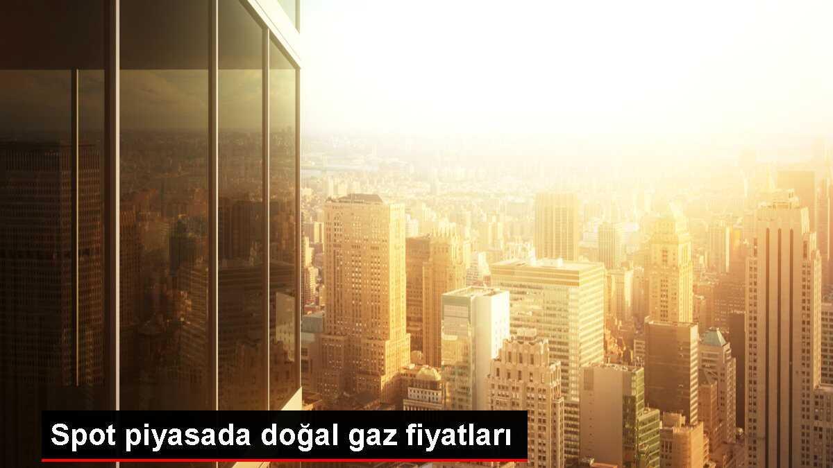 Spot Doğal Gaz Piyasasında Referans Fiyat 8 Bin 359 Lira 95 Kuruş