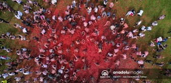 Kolombia'daki domates festivali renkli görüntülere sahne oldu