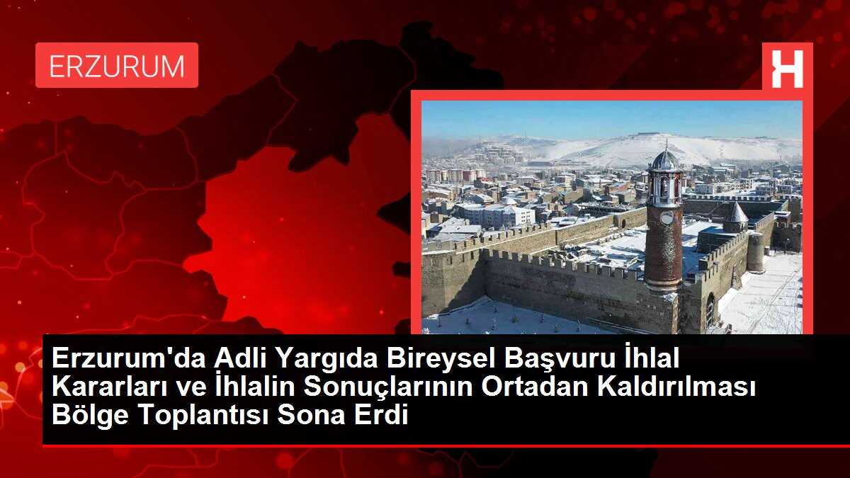 Erzurum'da Adli Yargıda Bireysel Başvuru İhlal Kararları ve İhlalin Sonuçlarının Ortadan Kaldırılması Bölge Toplantısı Sona Erdi