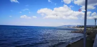 İzmir Dikili'de Yangın