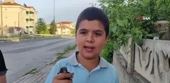 Bitkin halde olan ebabil kuşu bulundu