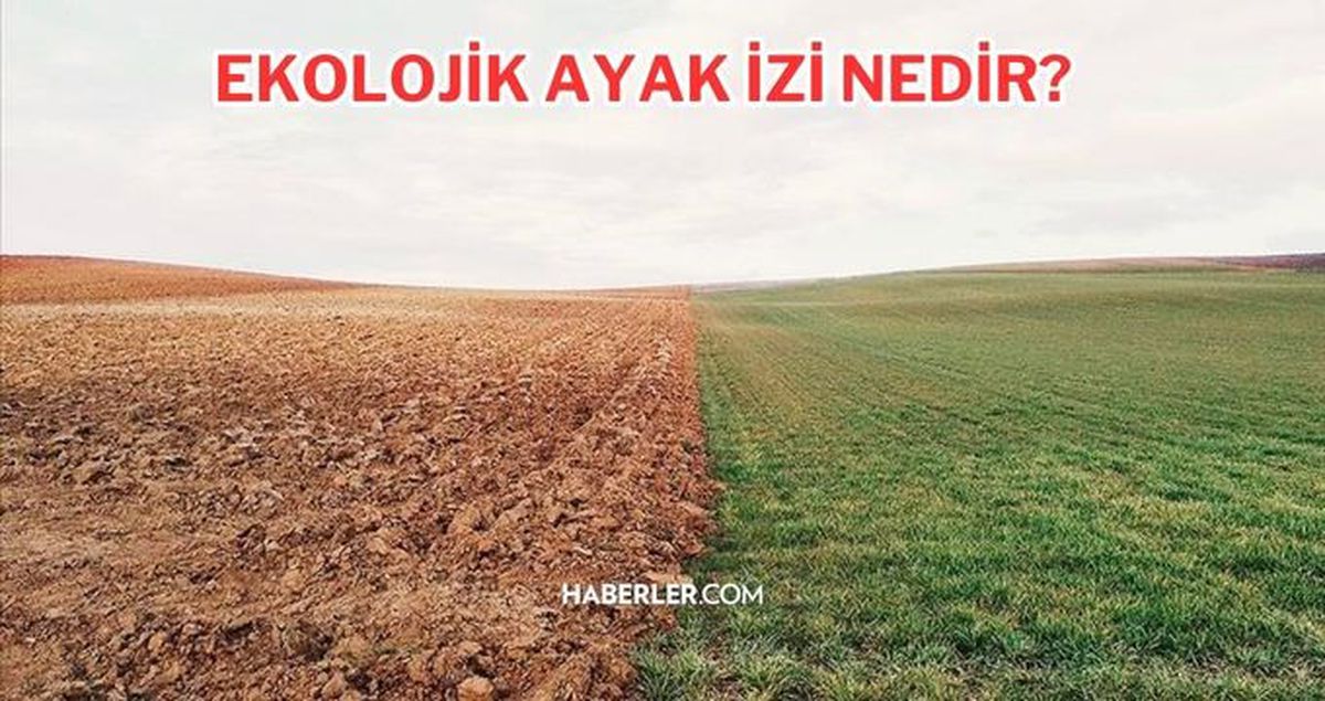 Ekolojik ayak izi nedir? Ekolojik ayak izi hesaplama, ekolojik ayak izi nasıl azaltılır? Ekolojik ayak izinin büyümesine neden olan durumlar nelerdir?