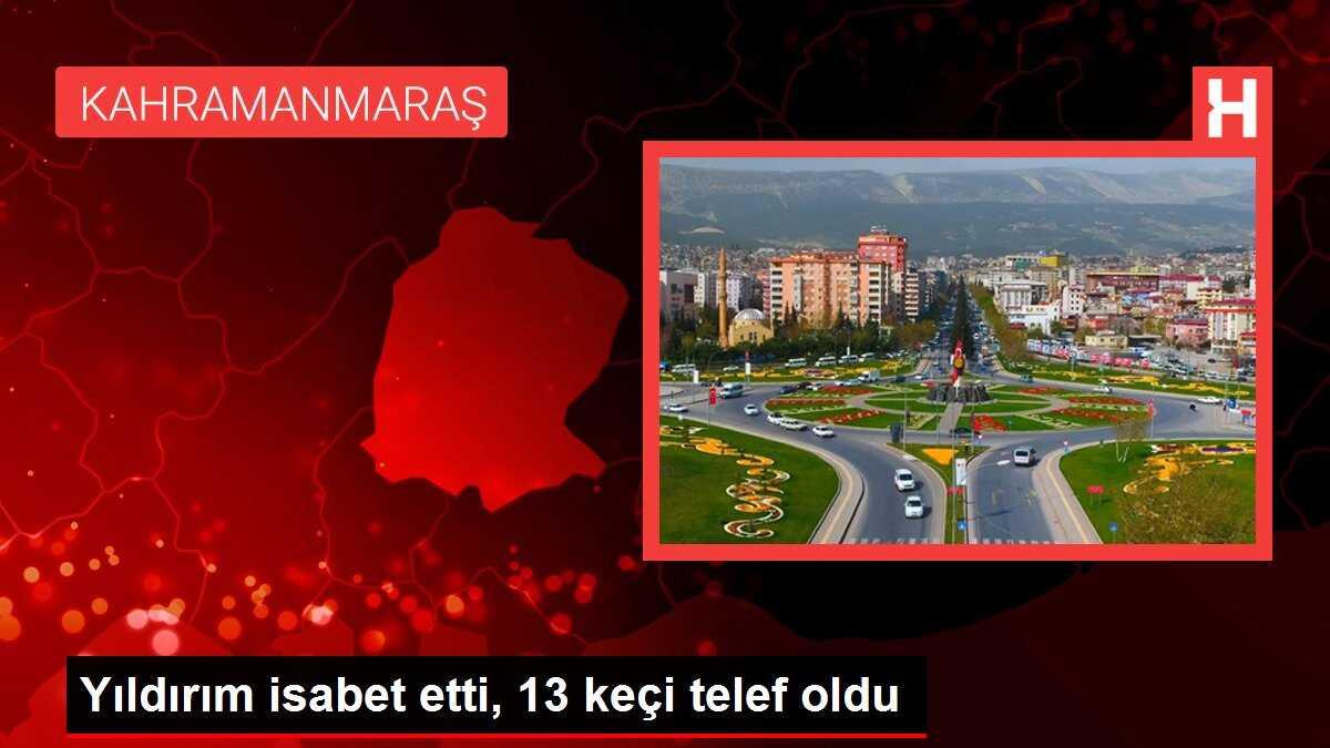 Yıldırım isabet etti, 13 keçi telef oldu