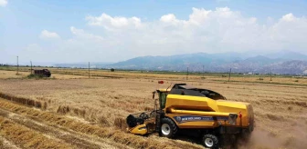 Aydın'da Yağışlar Buğday Hasadını Geciktirdi