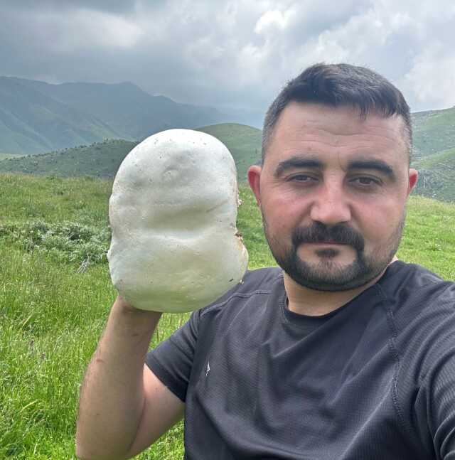 Dev mantarların görüntüsü hayretle karşılandı
