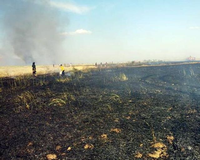 Buğday tarlaları planlı mı yakılıyor? Sosyal medyada paylaşılan düzenek kafa karıştırdı
