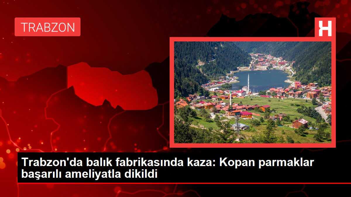 Trabzon'da balık fabrikasında kaza: Kopan parmaklar başarılı ameliyatla dikildi