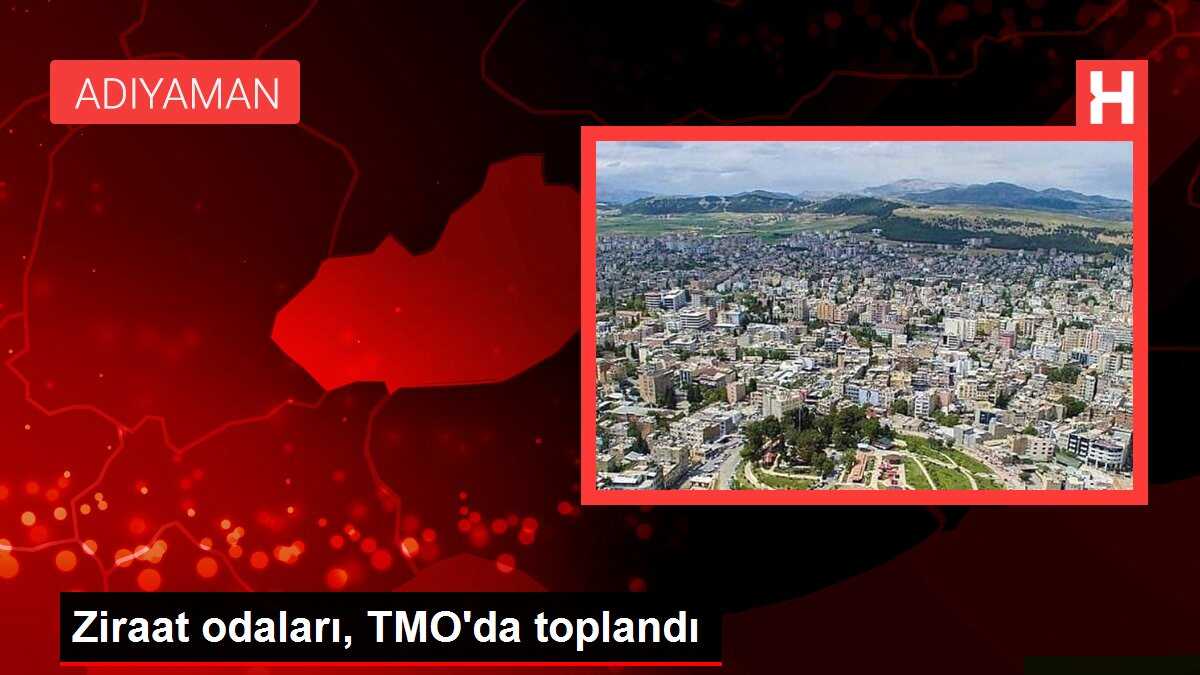 Ziraat odaları, TMO'da toplandı