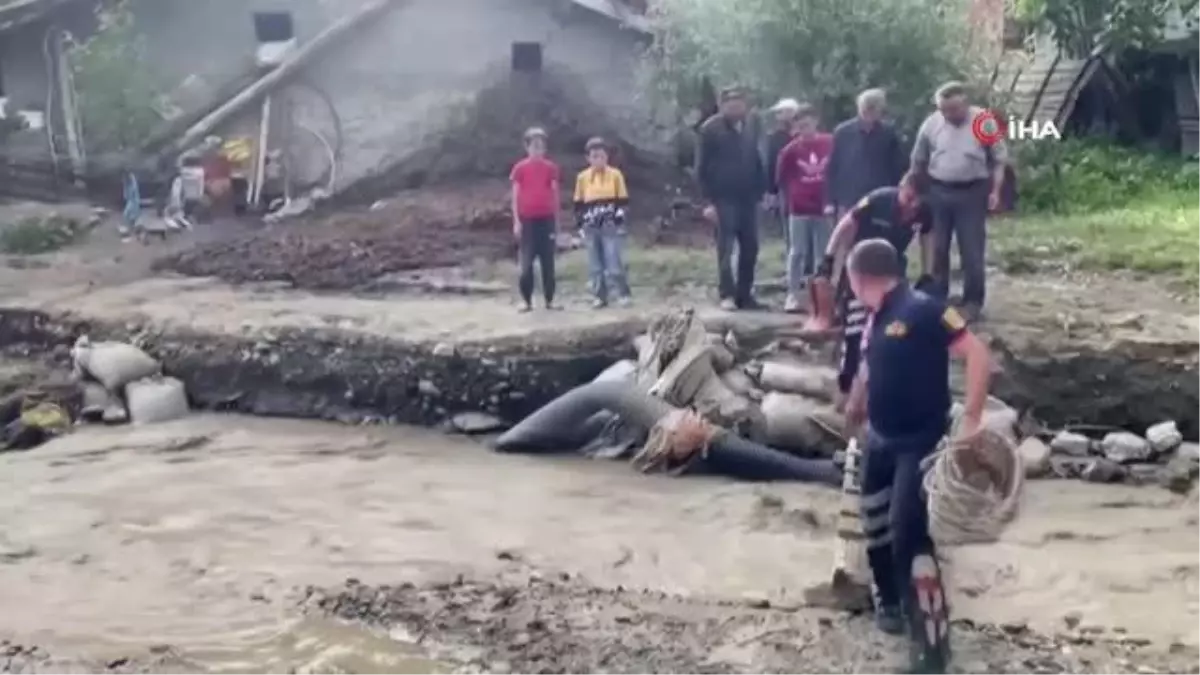 Çatıda mahsur kalan ineği itfaiye ekipleri kurtardı