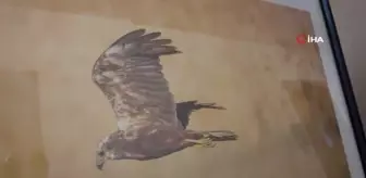 Çektiği doğa fotoğrafları lösemili çocukların umudu oldu