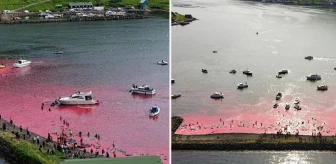 Yüzlerce balina öldürüldü! Faroe Adaları'ndaki kanlı avda denizin rengi kırmızıya döndü