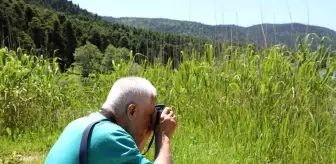 Esenler Belediyesi, Doğa Fotoğrafçılığı Günü'nde Bolu'da keyifli bir etkinlik düzenledi