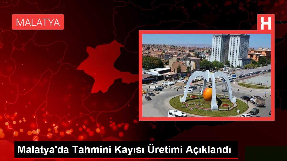 Malatya'da Tahmini Kayısı Üretimi Açıklandı