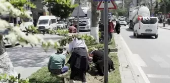 Tatvan kadın eliyle güzelleşiyor