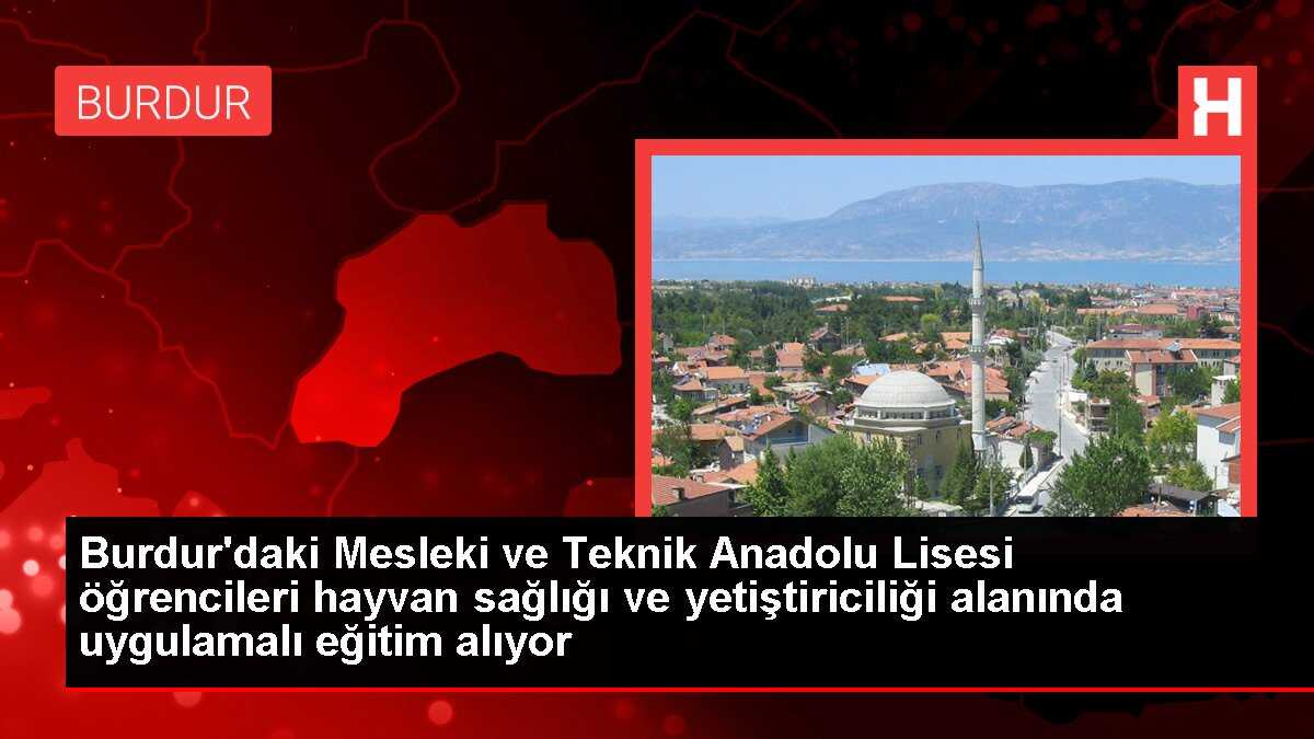 Burdur'daki Mesleki ve Teknik Anadolu Lisesi öğrencileri hayvan sağlığı ve yetiştiriciliği alanında uygulamalı eğitim alıyor