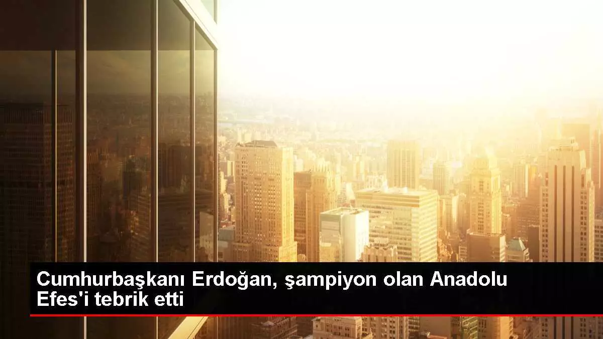 Cumhurbaşkanı Erdoğan, şampiyon olan Anadolu Efes'i tebrik etti