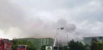 İzmir'de Turşu Fabrikasında Yangın Çıktı
