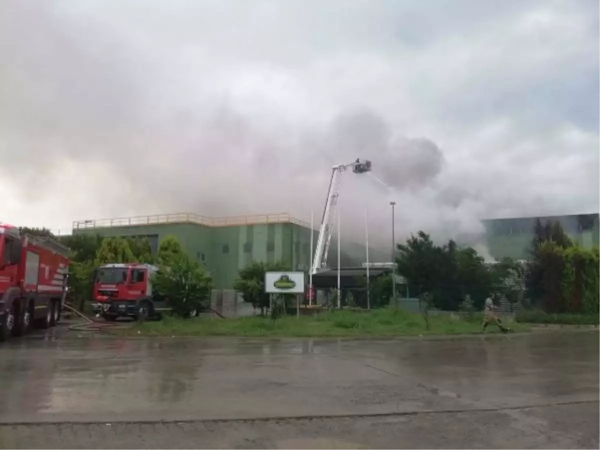 İzmir'de Turşu Fabrikasında Yangın Çıktı