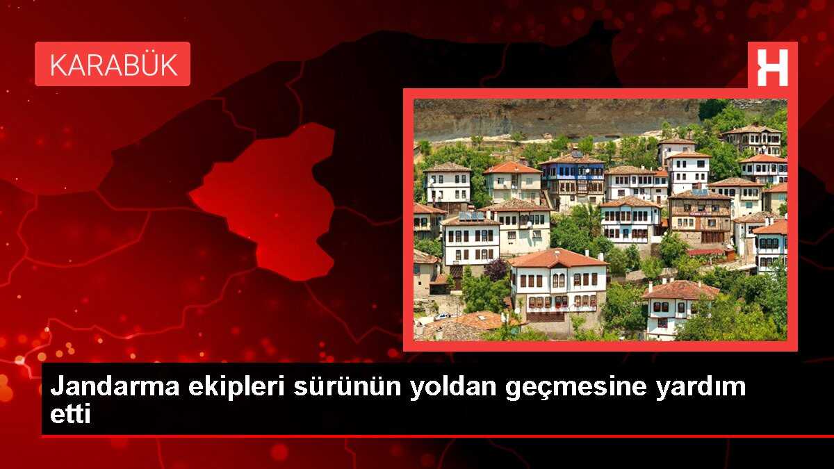 Jandarma ekipleri sürünün yoldan geçmesine yardım etti