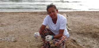 Manavgat'ta 14. ölü deniz kaplumbağası sahile vurdu