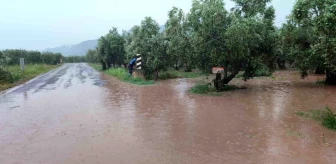 Bursa'nın Orhangazi ilçesinde sel felaketi