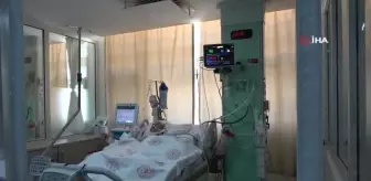 Uzmanlar, mantar zehirlenmelerine karşı uyardı