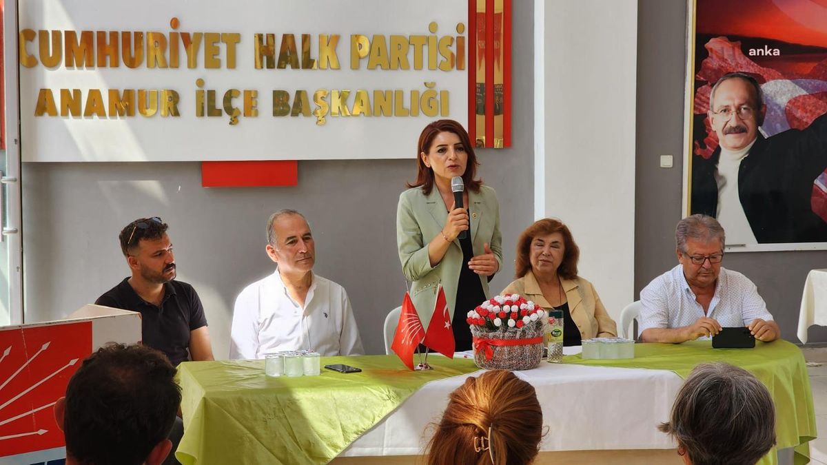 CHP Mersin Milletvekili Gülcan Kış: 'Ankara'da kalan vekil olmayacağım'