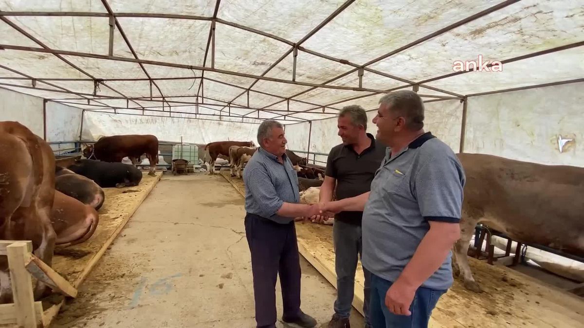 Yozgat'ta Kurban Pazarları Hazırlıklarına Başladı