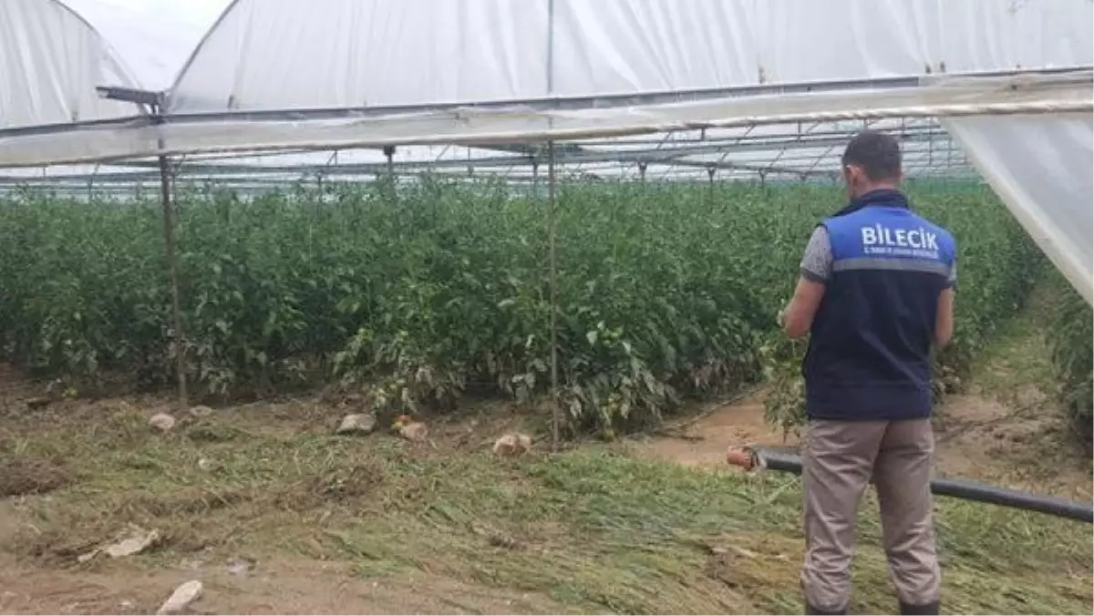 Bilecik'te sağanak; seralar su altında kaldı