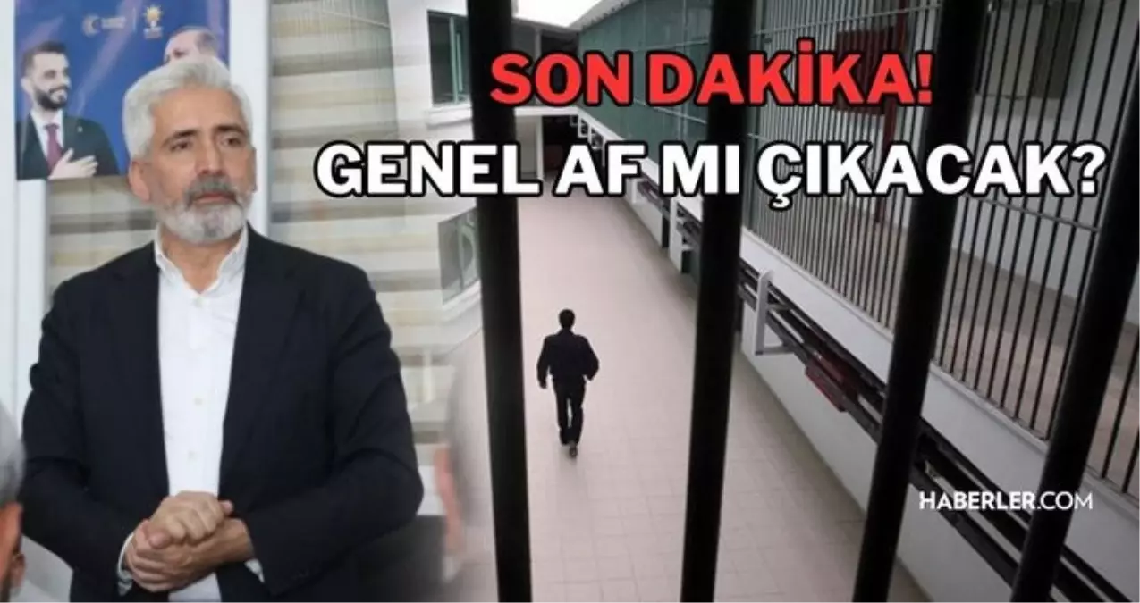 Genel af ne zaman çıkacak? Genel af kimleri kapsar? Genel af mı çıkıyor son dakika! Genel af kesinleşti mi? Genel af 29 ekim! Genel af çıkacak mı?