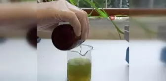 Doğaya atıldığında toprağı besleyen gübre çevreci plastik üretildi