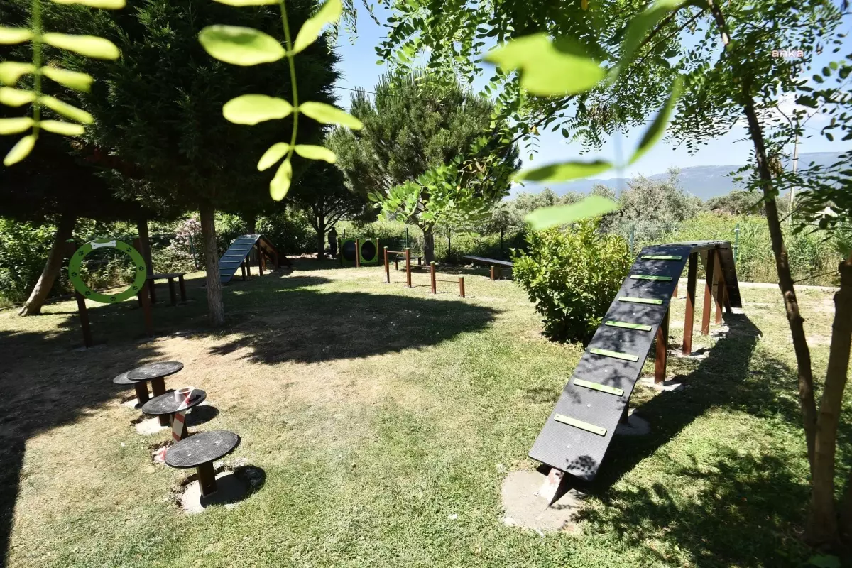 Kemalpaşa'da İlk Köpek Parkı Açıldı