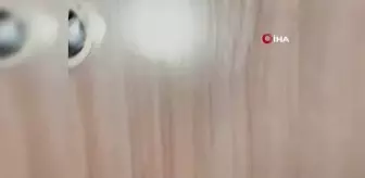 Köpeğe tekme iddiasıyla başlayan tartışma komşuları karşı karşıya getirdi