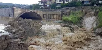 Sakarya'da sağanak hayatı olumsuz etkiledi (2)