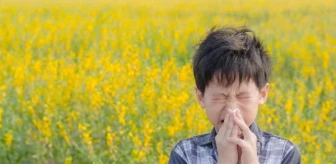 Uzmanı uyardı: İklim değişikliği alerjinin şiddetini artırıyor