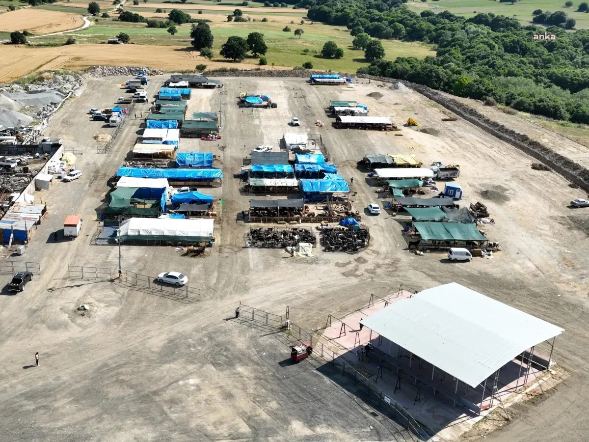 Çerkezköy'de Kurbanlık Hayvan Satışları Devam Ediyor