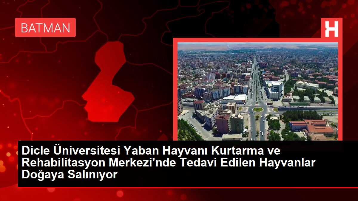 Dicle Üniversitesi Yaban Hayvanı Kurtarma ve Rehabilitasyon Merkezi'nde Tedavi Edilen Hayvanlar Doğaya Salınıyor