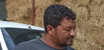 İneğe içki şişesinde sıvı içiren çiftlik çalışanı arandığı belirlenince gözaltına alındı (2)