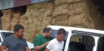 İneğe içki şişesinde sıvı içiren çiftlik çalışanı arandığı belirlenince gözaltına alındı (3)