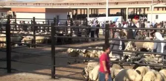 Şanlıurfa'da Kurban Pazarları Hareketlendi