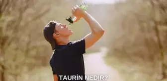 Taurin nedir, ne işe yarar? Enerji içeceklerinde yer alan taurinin etkileri nedir, vücudu nasıl etkiler, zararlı mıdır?