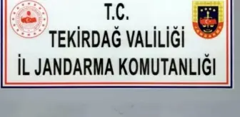 Tekirdağ'da 198 sikke ele geçirildi