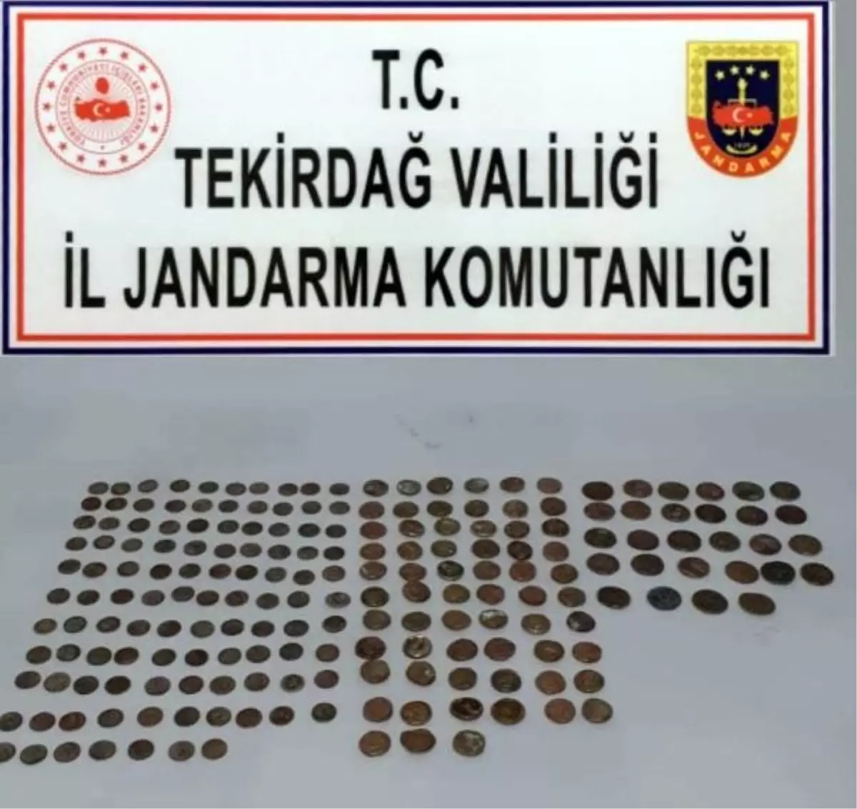 Tekirdağ'da 198 sikke ele geçirildi
