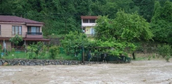 Zonguldak'ta Kuvvetli Yağış: Dereler Yükseldi, Yollar Kapandı