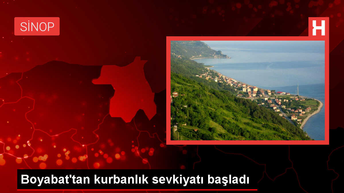Sinop'tan Diğer İllere Kurbanlık Sevkiyatı Başladı