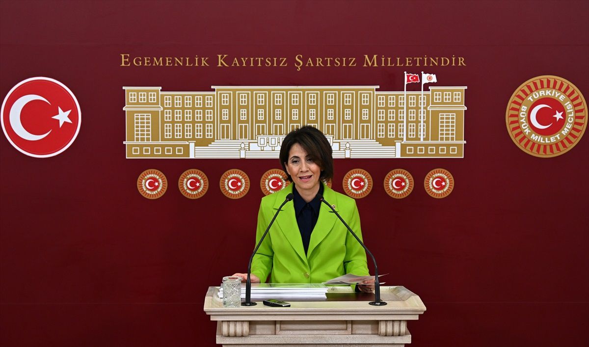 CHP'li Yaman: 65 yaş üstü vatandaşların yüzde 90'ı kronik hastalık sahibi