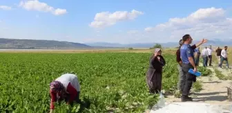 Burdur'da Tarlada Çalışırken Yorgun Mermi İsabet Eden Genç Kız Hastaneye Kaldırıldı