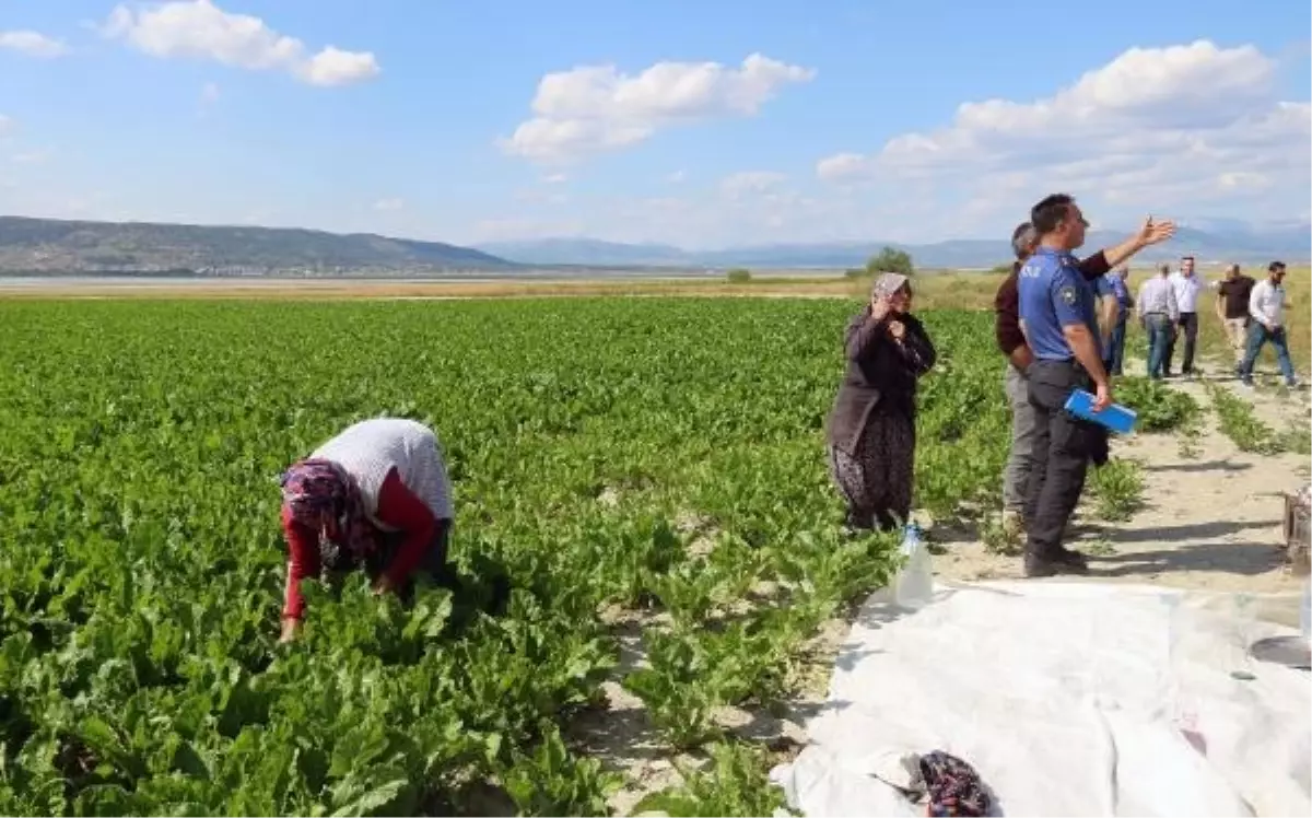 Burdur'da Tarlada Çalışırken Yorgun Mermi İsabet Eden Genç Kız Hastaneye Kaldırıldı