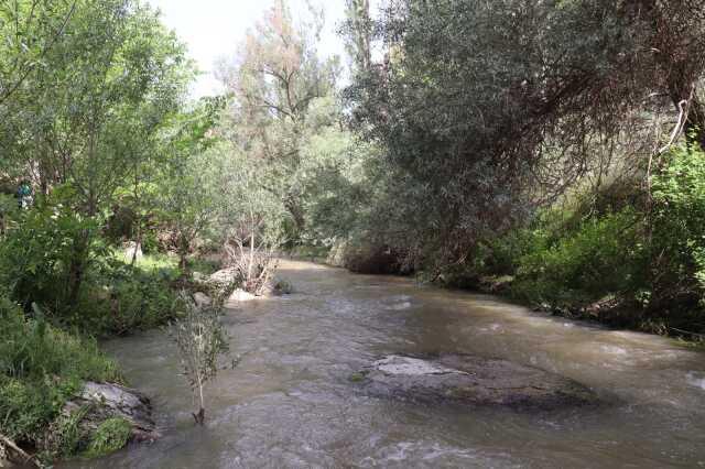 Çorak topraklar arasına gizlenmiş bir vaha! Dünyanın en büyük ikinci vadisi: Ihlara Vadisi